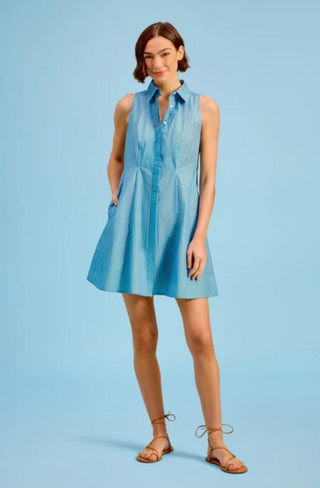 Courtside Dress Cedar Pinstripe Livro