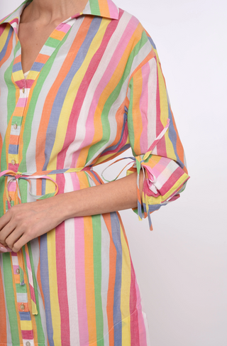 Shannon Mini Dress Surya Stripe Love the Label