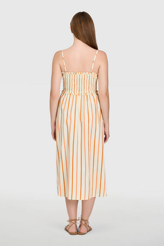 Smocked Dress Dunmore Stripes Livro