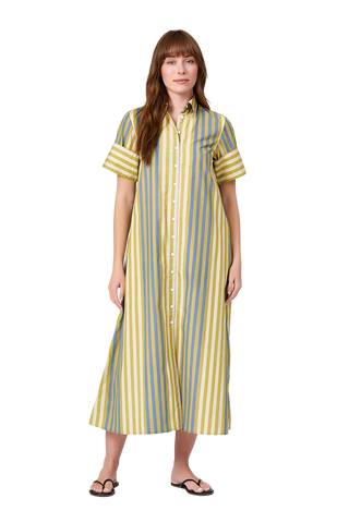 Gibbons Dress Chartreuse Stripes  Livro