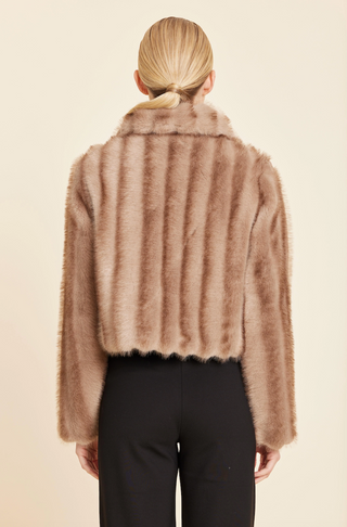 Mocha Mink Jacket Dolce Cabo