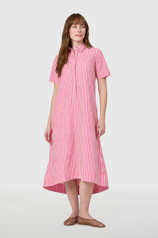 City Dress Raspberry Pinstripe Livro
